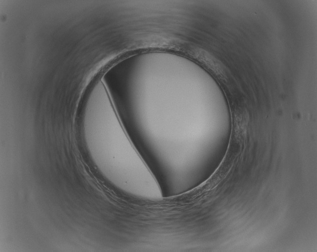 X0000071860628200606301103