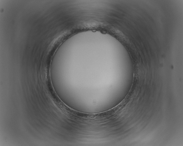 X0000071860640200606301103