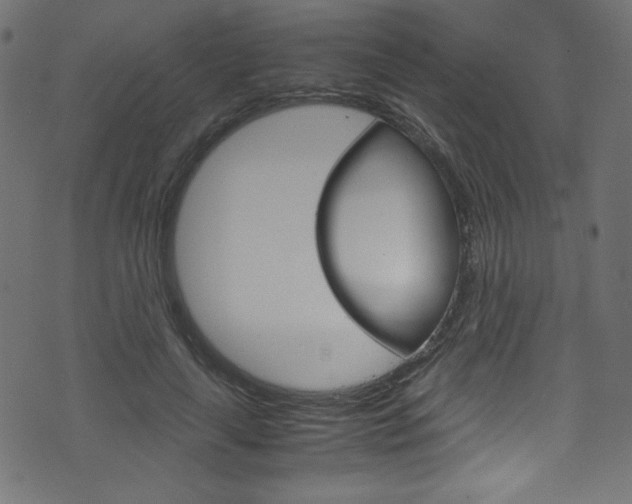X0000071860643200606301103