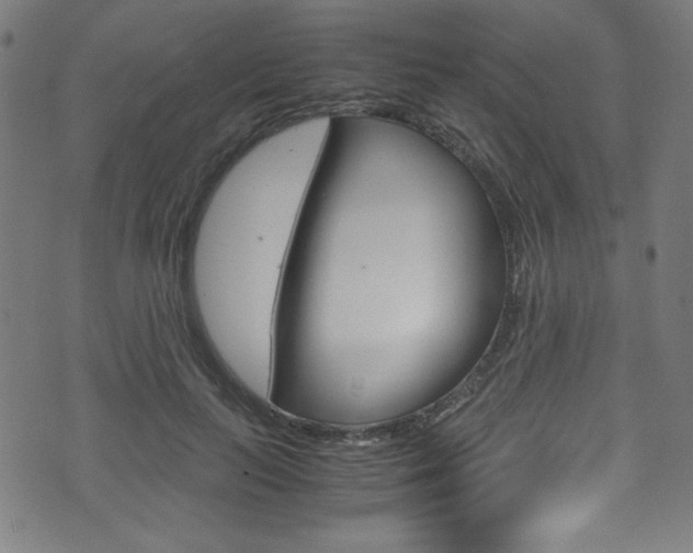 X0000071860647200606301103