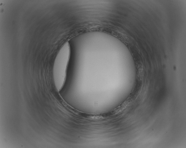 X0000071860654200606301103