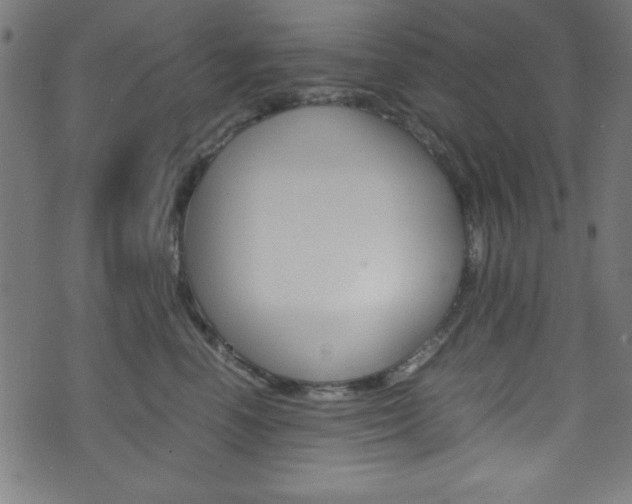 X0000071860666200606301103