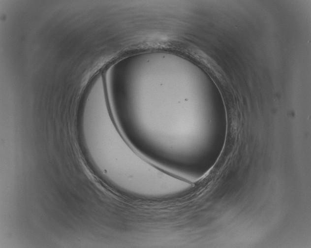 X0000071860677200606301102