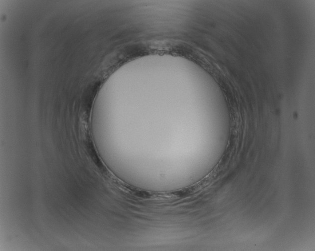X0000071860707200606301102