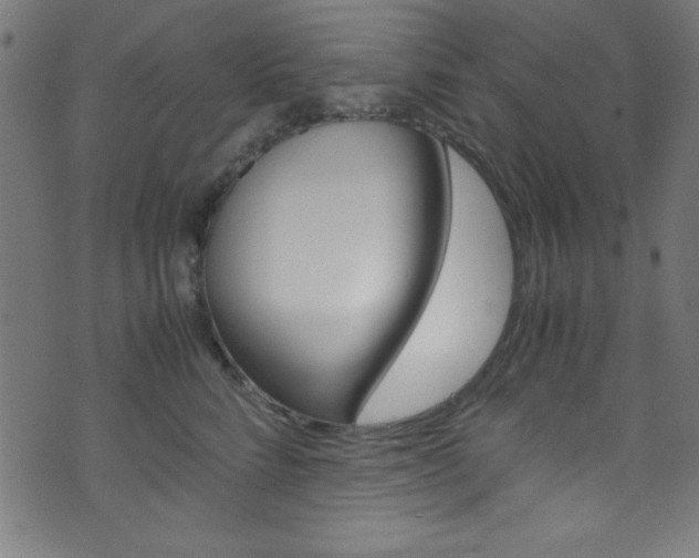 X0000071860712200606301102