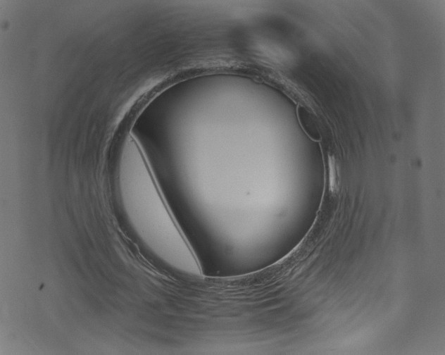 X0000071860723200606301101