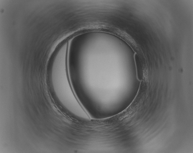 X0000071860724200606301101