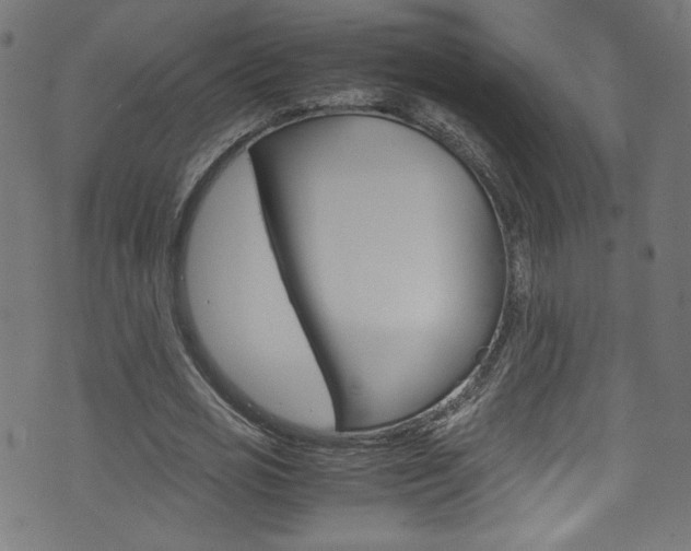 X0000071860725200606301101