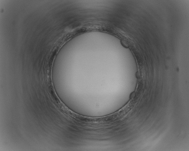 X0000071860737200606301101
