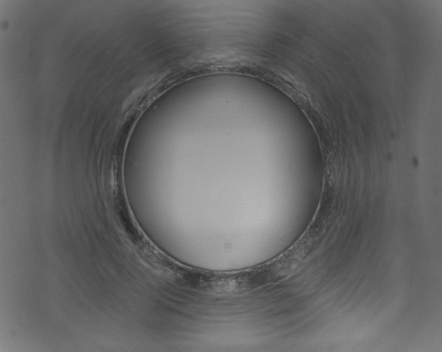 X0000071860740200606301101