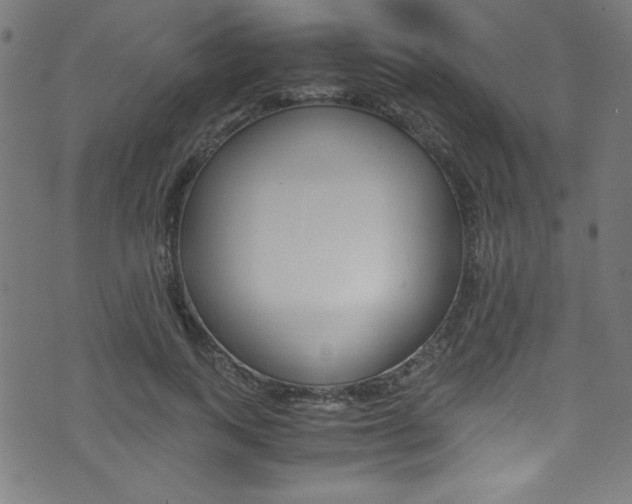 X0000071860743200606301101
