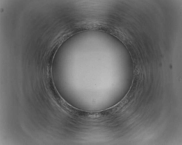 X0000071860744200606301101