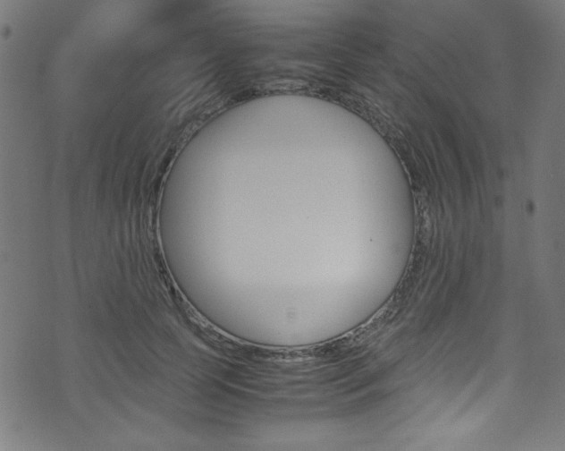X0000071860745200606301101