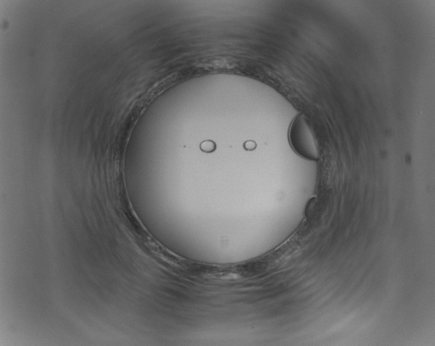 X0000071860747200606301101