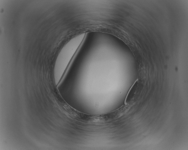 X0000071860750200606301101