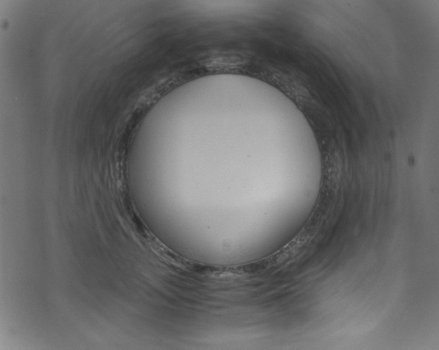 X0000071860755200606301101
