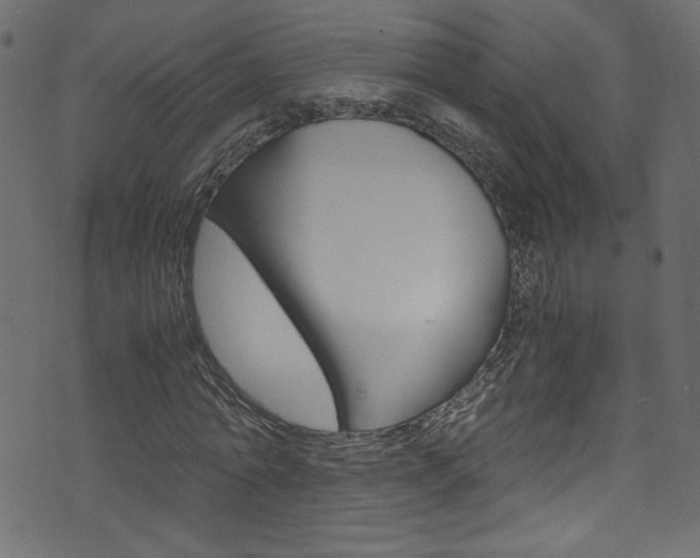 X0000071860774200606301101
