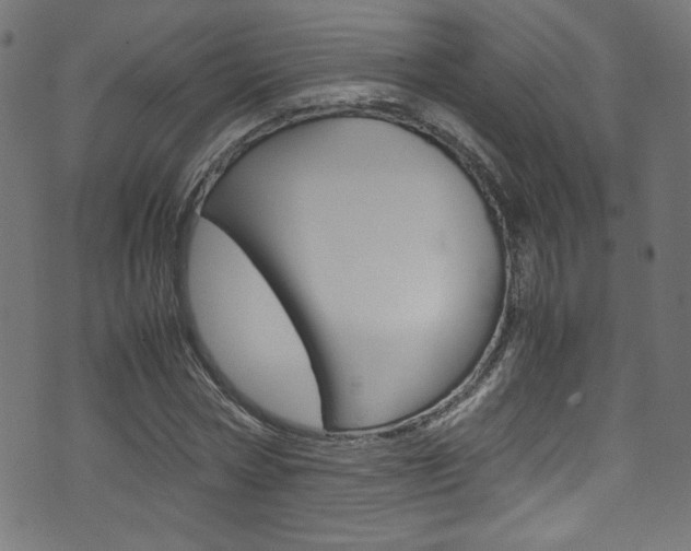 X0000071860778200606301101