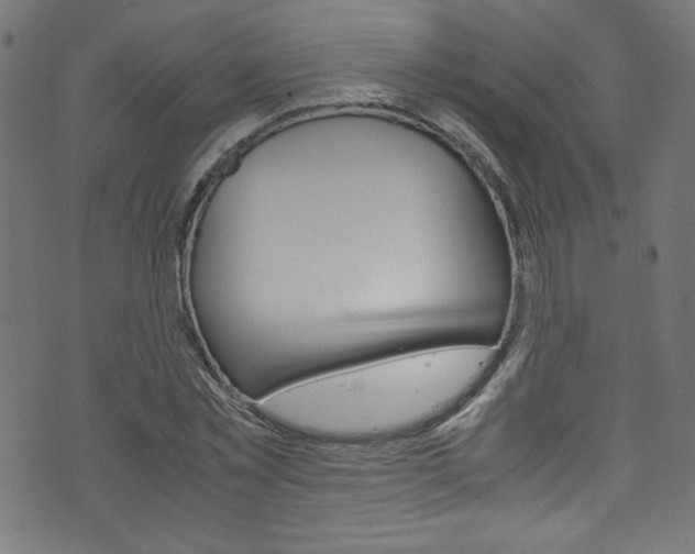 X0000071860781200606301101