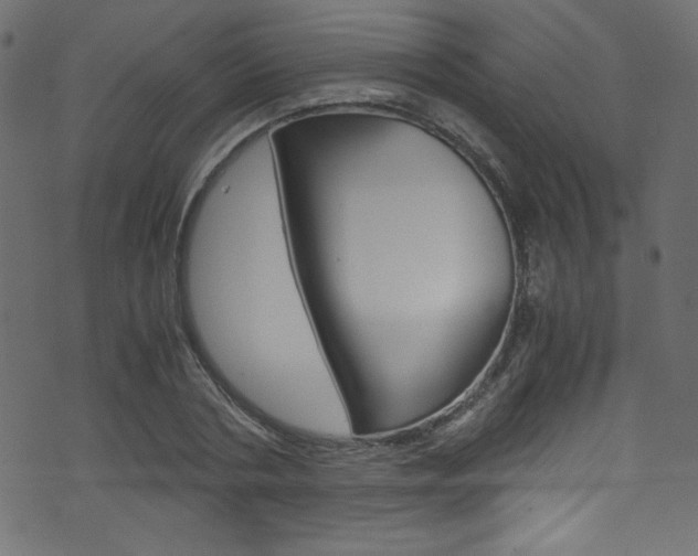 X0000071860786200606301101