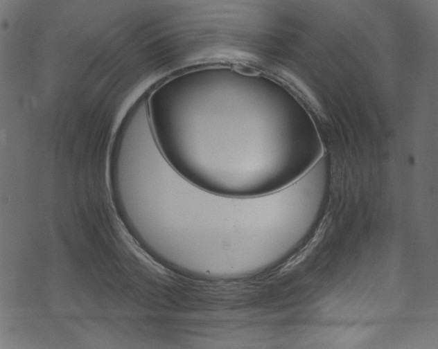 X0000071860788200606301101