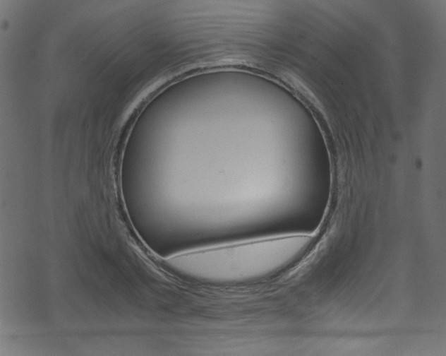 X0000071860789200606301101