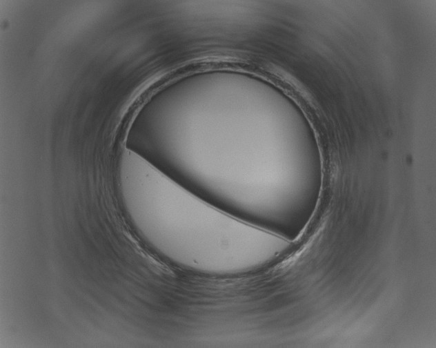 X0000071860829200606301100