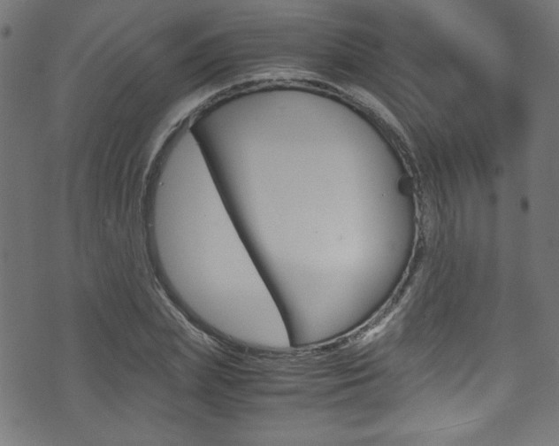 X0000071860831200606301100