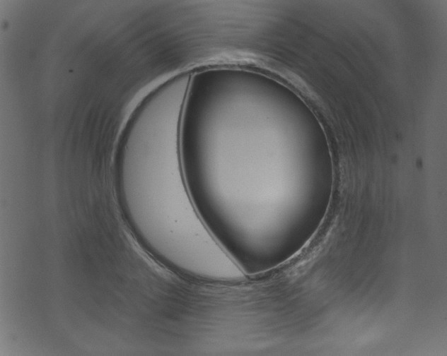 X0000071860838200606301100