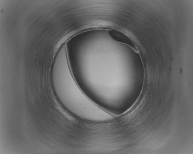 X0000071860842200606301100