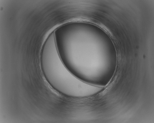 X0000071860854200606301100
