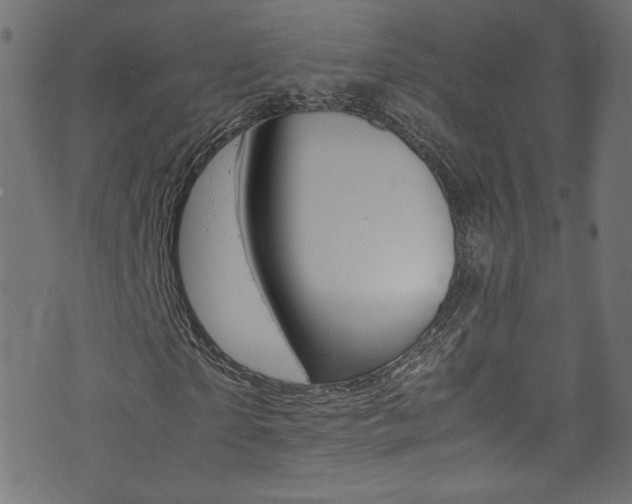 X0000071860865200606301059