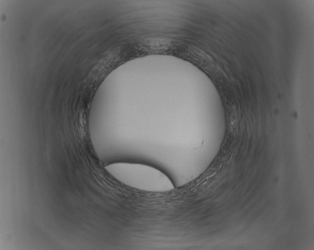 X0000071860866200606301059