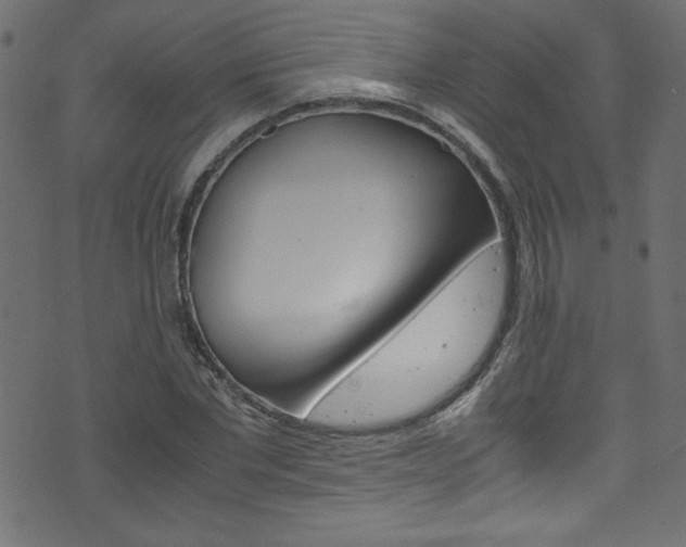 X0000071860877200606301059