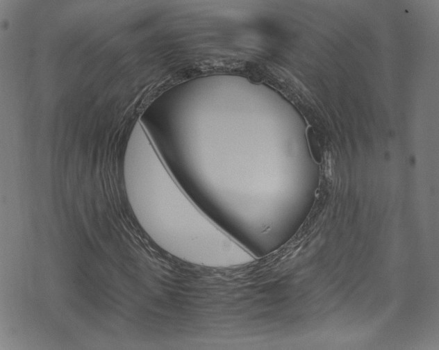 X0000071860915200606301058