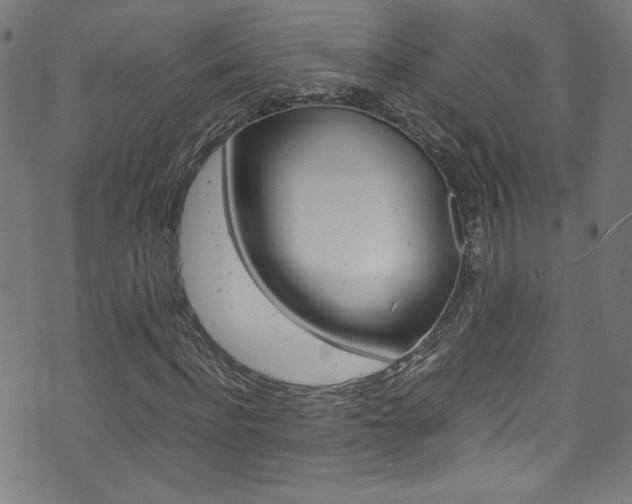 X0000071860916200606301058