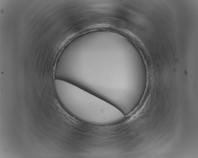 X0000071860929200606301058