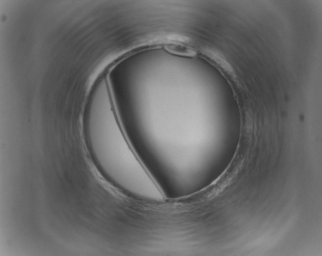 X0000071860936200606301058