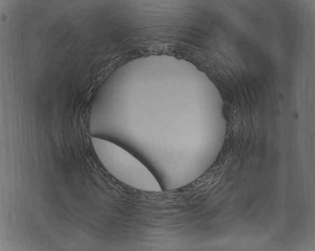 X0000071860962200606301058