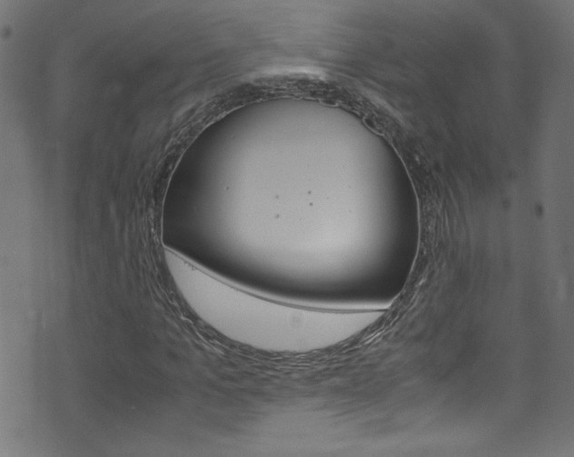 X0000071860965200606301058