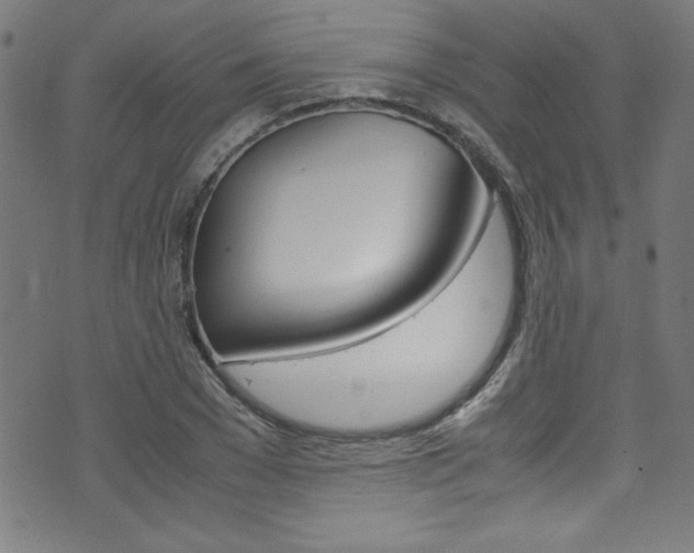 X0000071860977200606301057