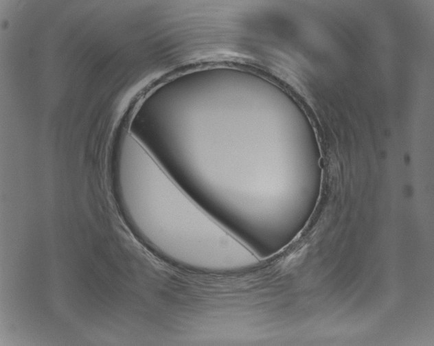 X0000071860979200606301057