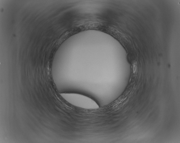 X0000071861011200606301056