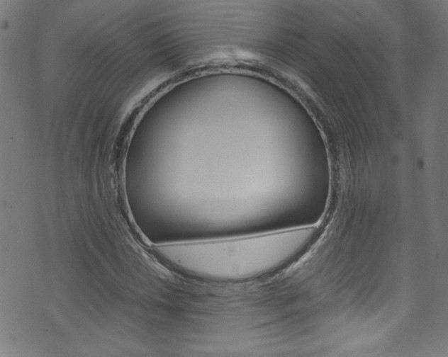 X0000071861018200606301056