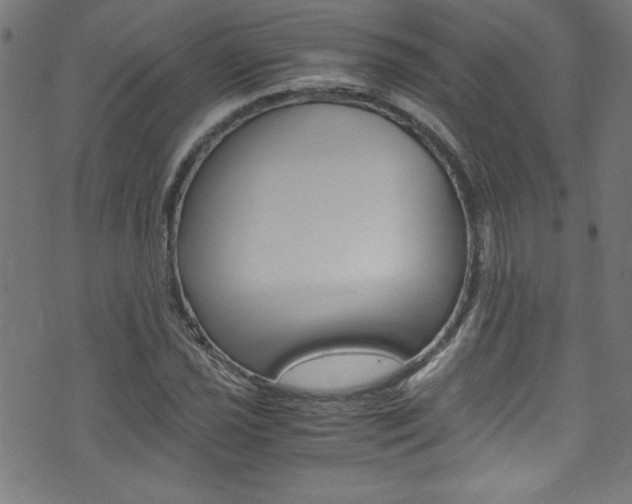 X0000071861021200606301056