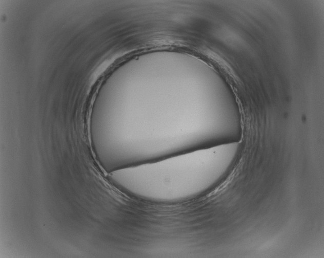 X0000071861023200606301056