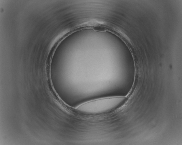 X0000071861026200606301056