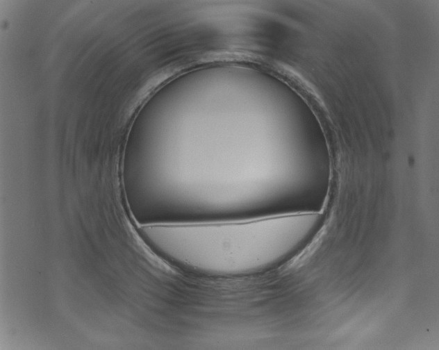 X0000071861033200606301057