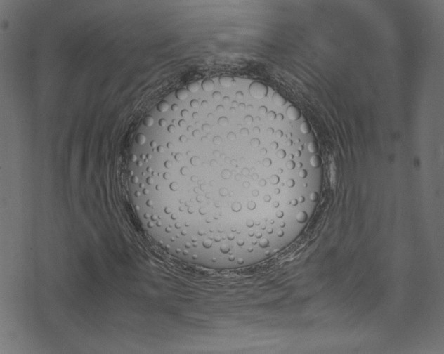 X0000071861059200606301056