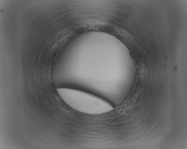 X0000071861060200606301056